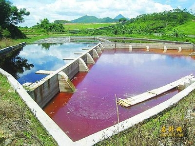 重金属酸性废水治理技术