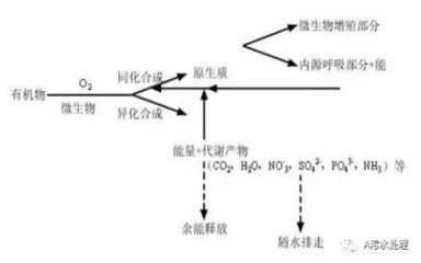 b3.jpg