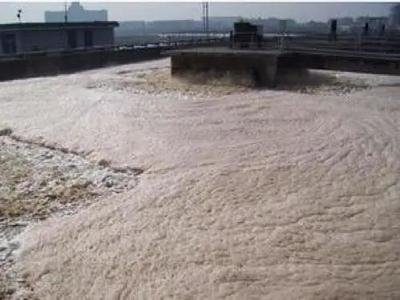 活性污泥的十大经验总结