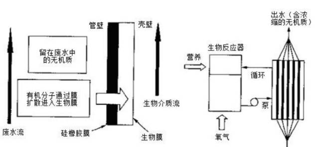 b4.jpg