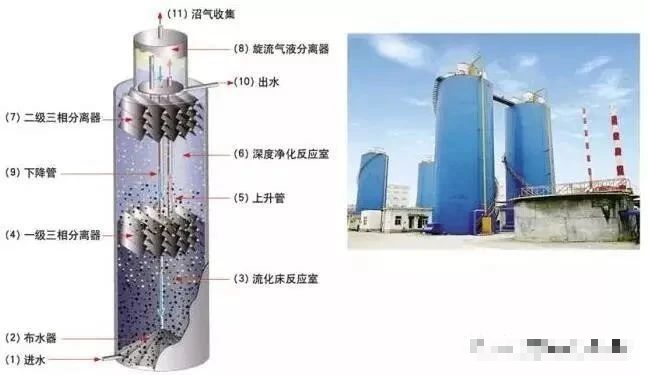 印染废水处理技术之生物法
