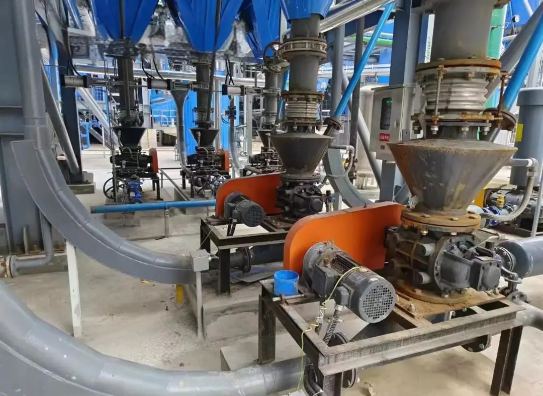 1756201697167744.jpg 1.jpg