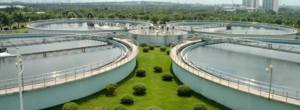 1756285262160091.jpg c.jpg