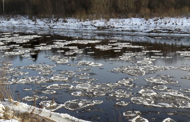 污水处理之厌氧氨氧化技术的介绍
