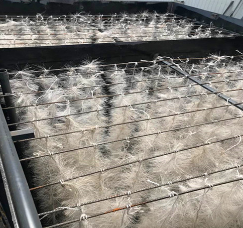 1757583366122192.png b3.png