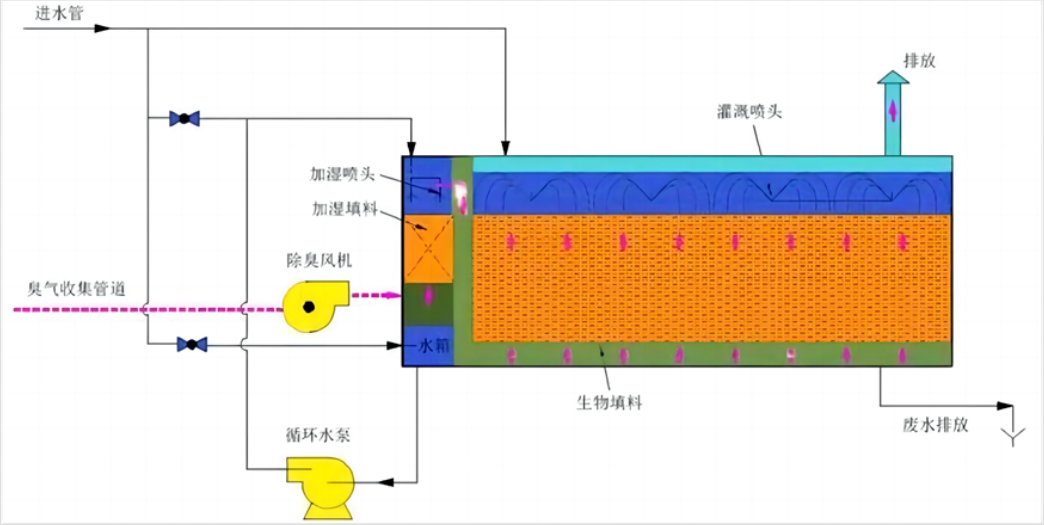 1761730491163753.png d.png