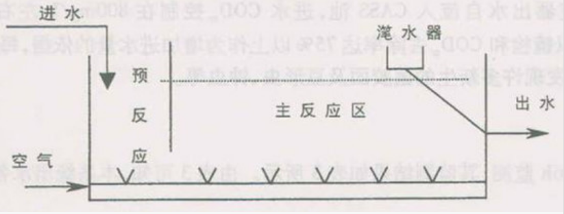 1763109035995839.png b5.png