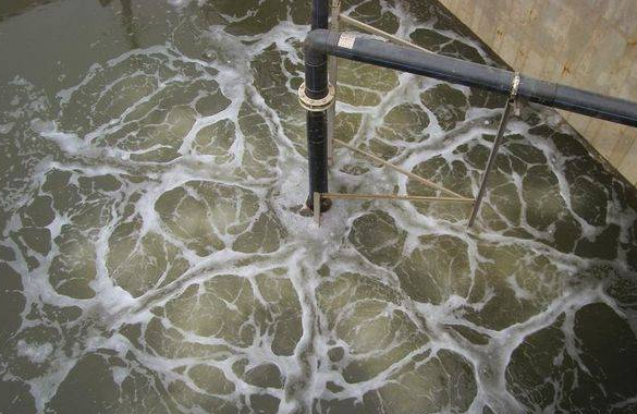 污水处理硝化过程关键：曝气时间的双重影响及动态调控因素