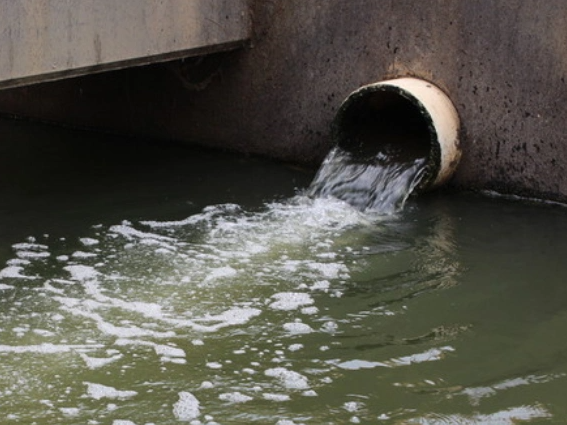 1768383417117618.png c.png