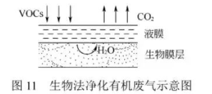 1772268074160492.png c.png